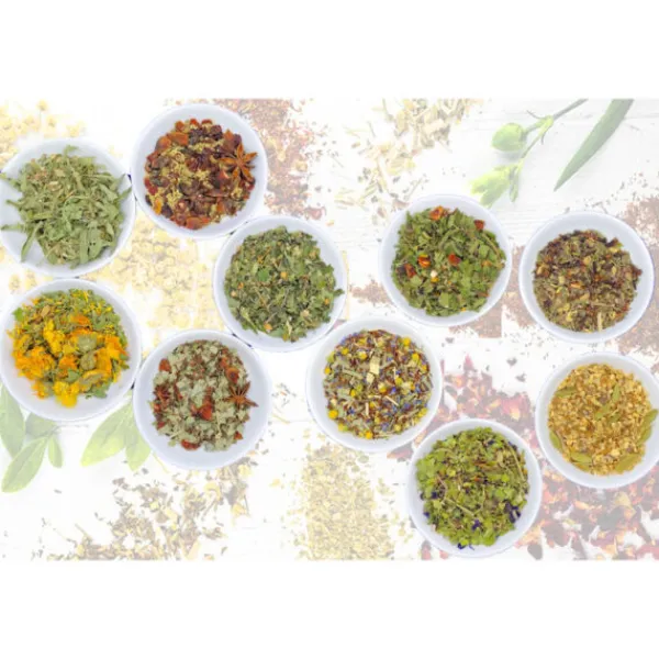 selezione_tisane_1.webp La Teiera Eclettica Selezione Tisane Best