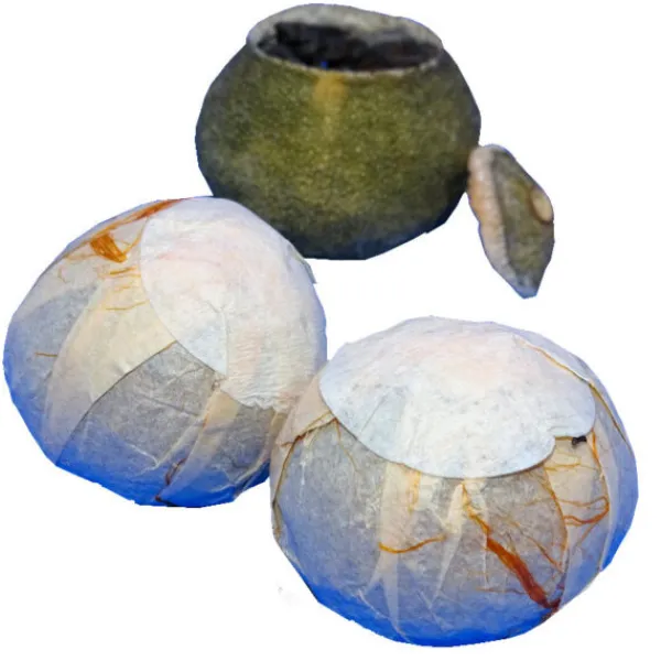 xiao_qing_gan_puerh_nel_m_0.webp La Teiera Eclettica Xiao Qing Gan Pu-erh nel Mandarino Discount